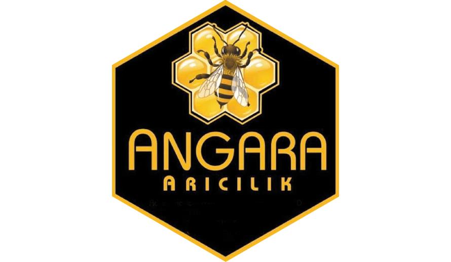 Angara-Aricilik
